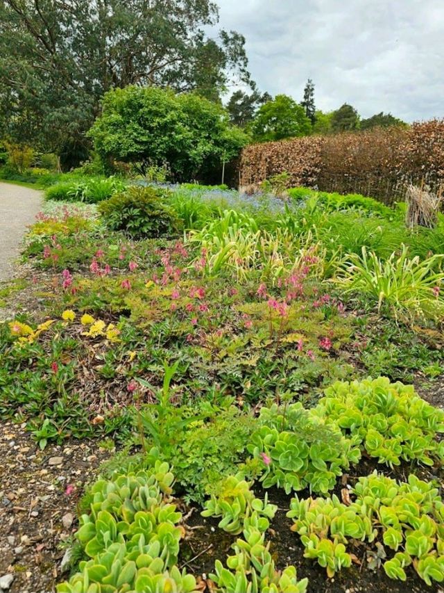 Harris Garden