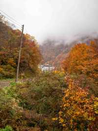戸隠の鏡池🌿 静寂に包まれた絶景リフレクション