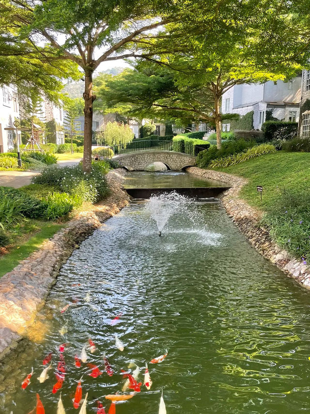 “Thames Valley Khaoyai” 