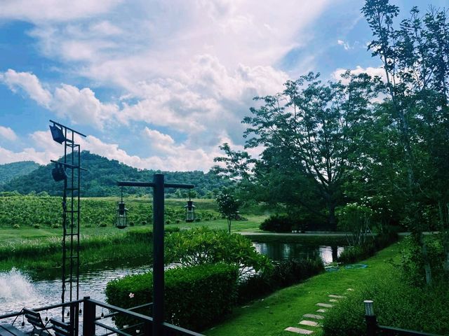 泰國曼谷附近最美國家公園景點：考艾國家公園，適合打卡拍照📸