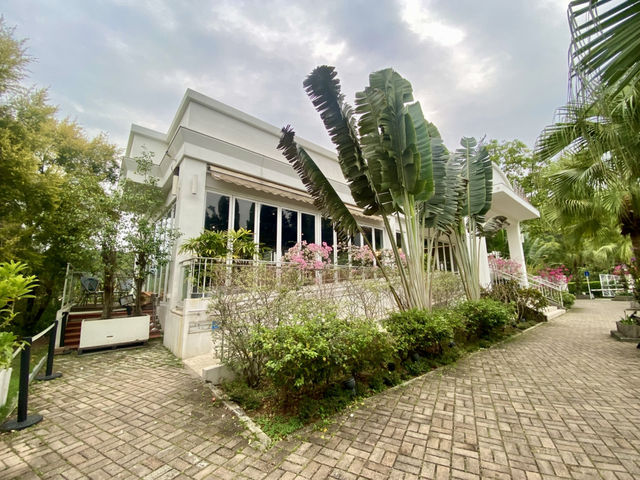 小白鷺餐廳✨🍽️浪漫與藝術的結合🏛️