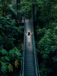 Urban Oasis: Exploring Nature at KL Eco Park