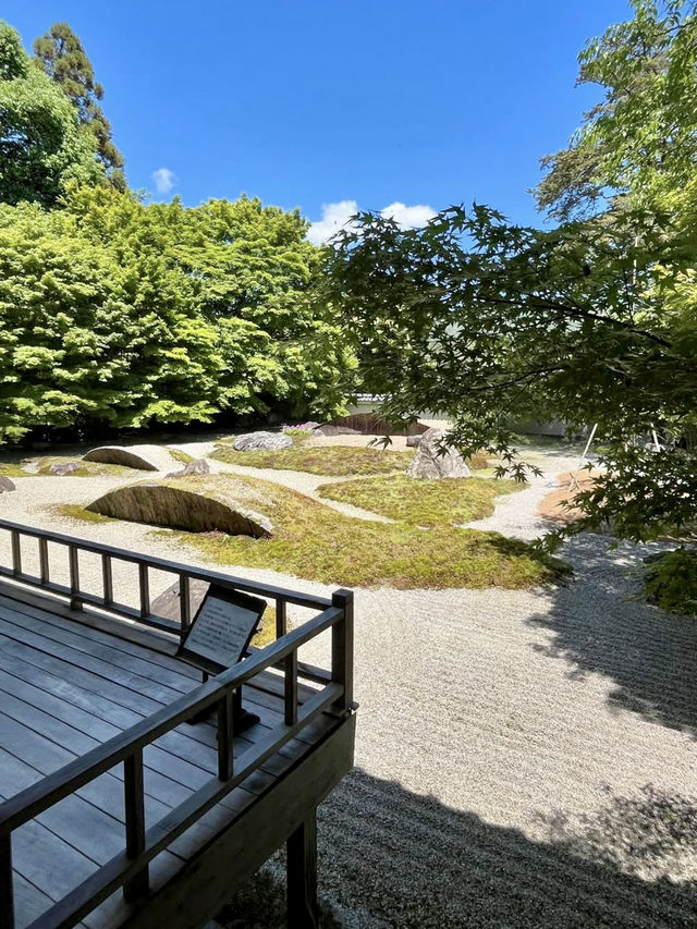 Spring Visit to Jissoin Monzeki: A Peaceful Escape with Blue Maple Leaves