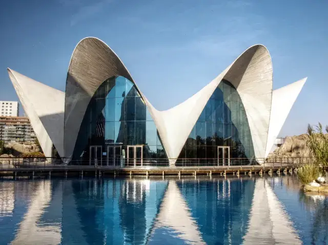 Valencia Oceanographic Park