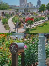 สวนกุหลาบกลางเมือง เข้าฟรี! ที่โอซาก้า🌹