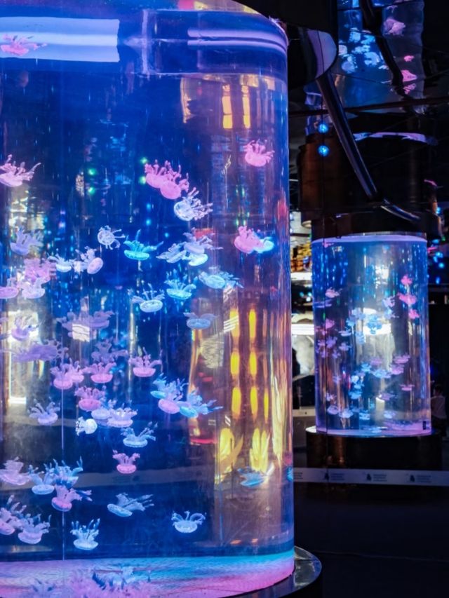 Grandview Aquarium – A Suburban Ocean Wonderland