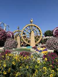 Bloom with Flowers in Spring! 