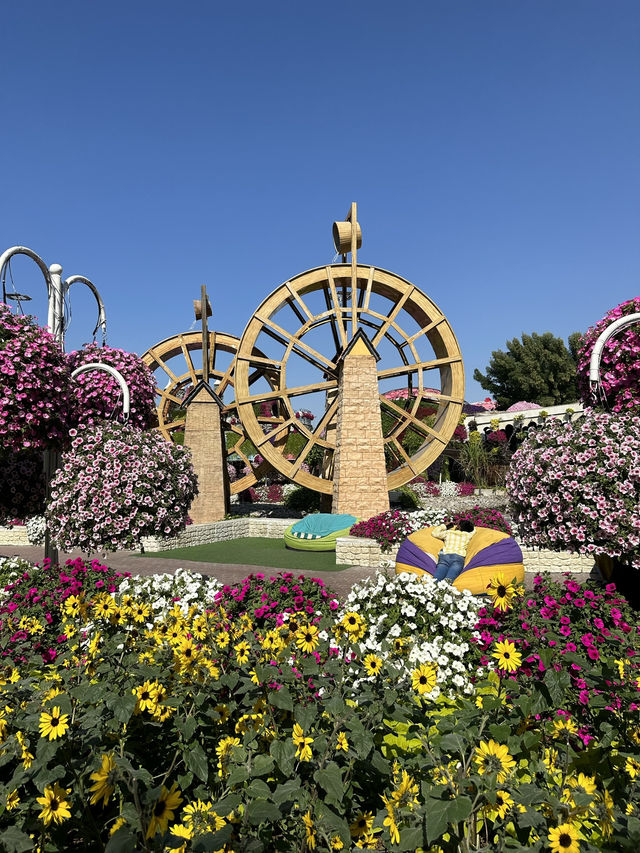 Bloom with Flowers in Spring! 