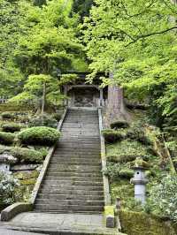 【福井×永平寺】空気が一変！深い緑に囲まれた参道
