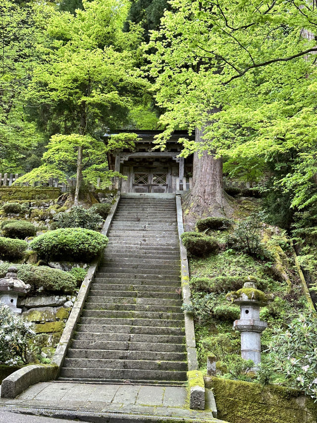 【福井×永平寺】空気が一変！深い緑に囲まれた参道