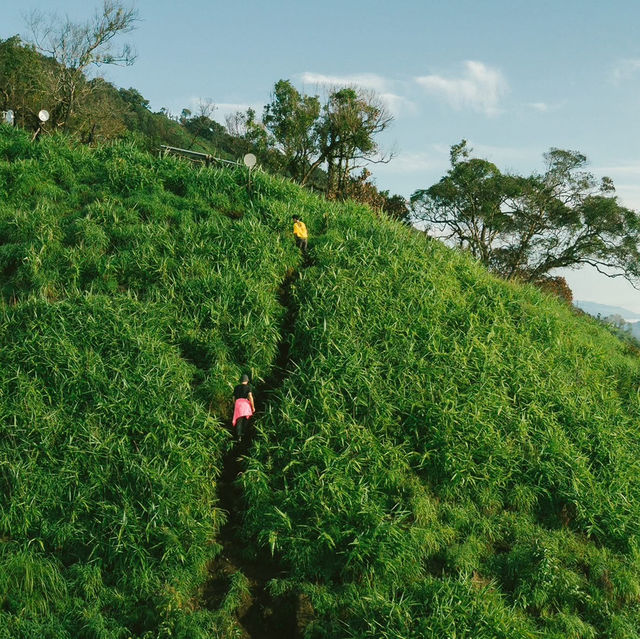 ‘เปรโต๊ะลอซู ตาก‘ 