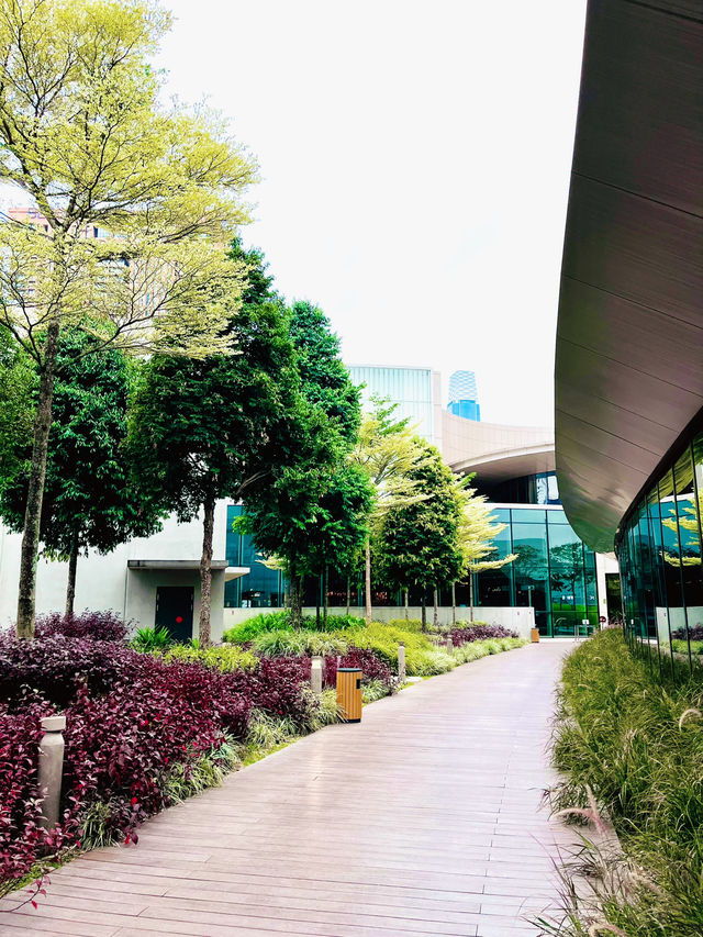 “Sustainably Serene – LaLaport Rooftop Retreat”