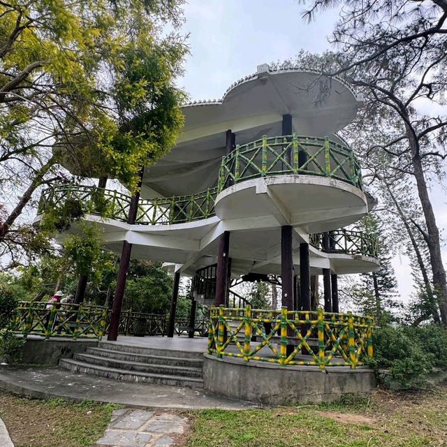 澄清湖｜「湖光山色中的櫻花樂園」