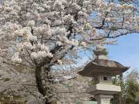 東京成田機場附近景點「成田新勝寺」