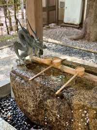 Spring Vibes at Kameido Katori Shrine