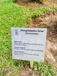 Taman Saujana Hijau: Sustainable Green Sanctuary