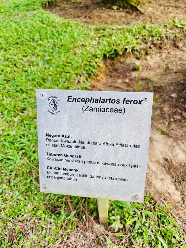 Taman Saujana Hijau: Sustainable Green Sanctuary