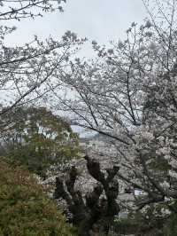 Nagasaki views
