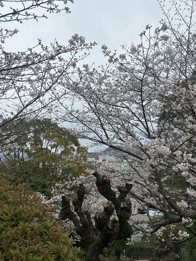 Nagasaki views