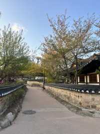 Gyeonju, a walk to the past