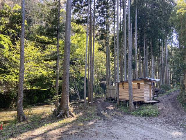 【千葉 大多喜】サウナありキャンプ場