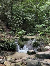 A Quiet Hike to the Blue Lake, Johor Bahru (Taman Awam BBKP)