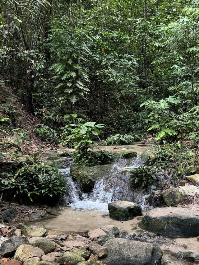 A Quiet Hike to the Blue Lake, Johor Bahru (Taman Awam BBKP)