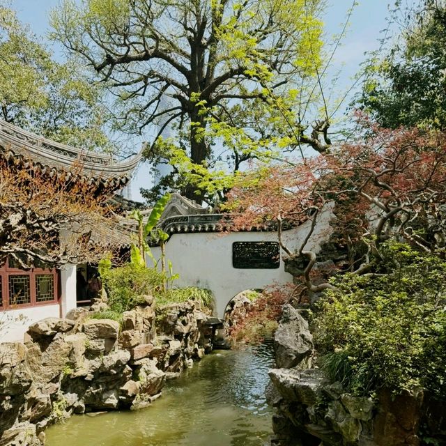 Hidden Haven: The Charm of Yuyuan Garden