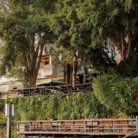 Keeree Tara Retreat • River Kwai,  Kanchanaburi 