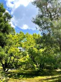 【京都】青紅葉、苔の緑、空、水の流れに魅了される素晴らしい空間
