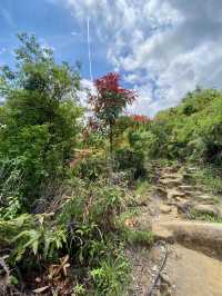 闖蕩漫步大埔滘✨🚶🏼 香港行山好去處✨