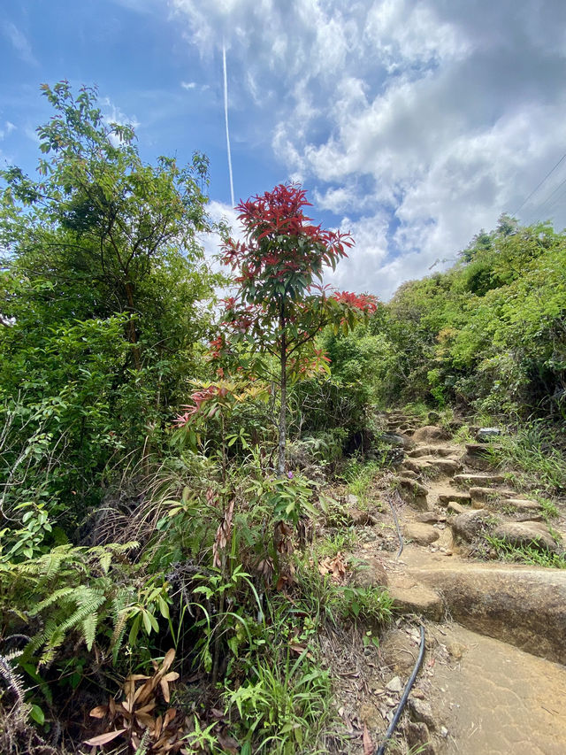 闖蕩漫步大埔滘✨🚶🏼 香港行山好去處✨