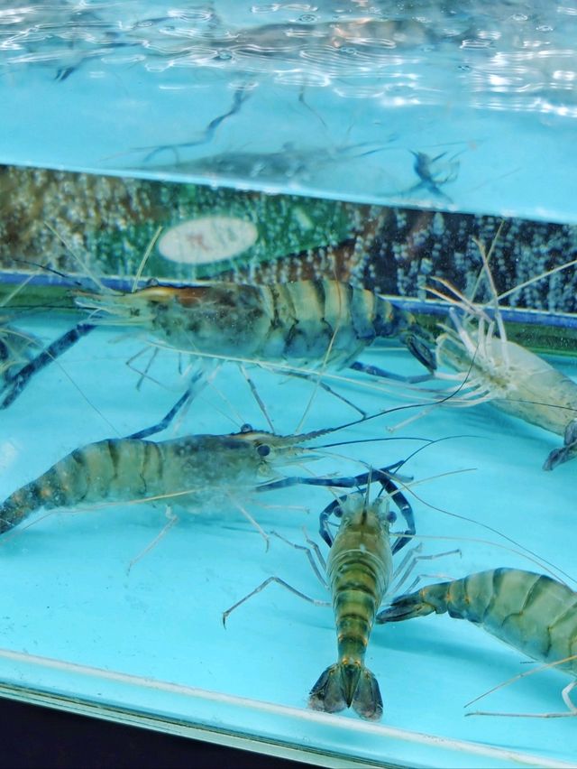 任燒🔥海鮮🦐仲有🍲小火鍋