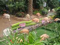 榮獲2大獎項的全球最大室內的樂園：飛船樂園