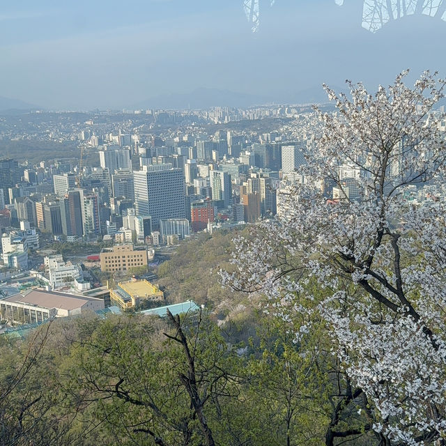 Spring in April 