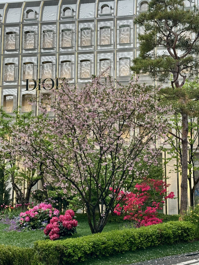 아름다운 꽃들을 구경하기 좋은 💐 젊고 힙한 성수동 여행코스 추천💖