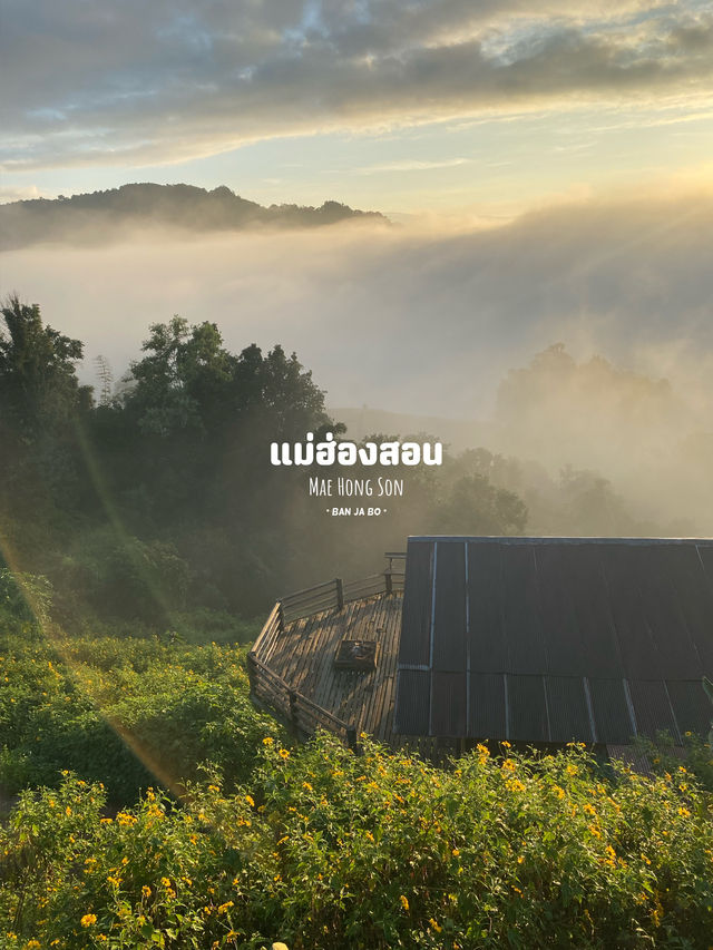 เที่ยวภาคเหนือฤดูฝน | 11 จังหวัด ⛰️🌦️🌳🌈