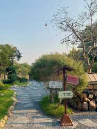 Moso yodia cafe มาอยุธยารอบหน้าต้องแวะอีก