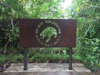 Bornean Sun Bear Conservation Centre (BSBCC) – Sepilok’s Hidden Gem** 🐻🌿  