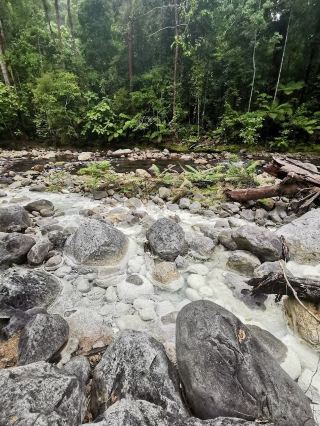 🌿 Tawau Hills Park: Waterfalls, Wild Hikes & a Monkey Surprise! �