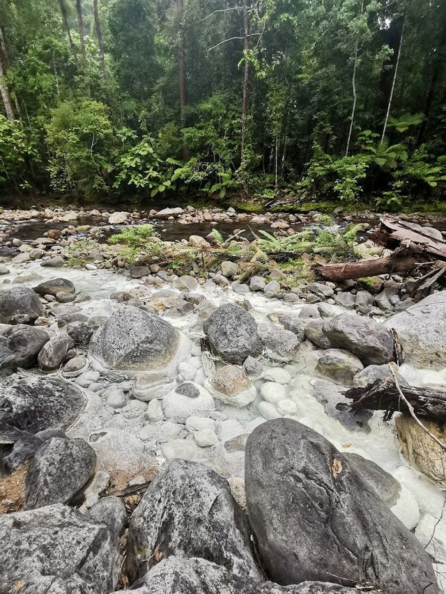 🌿 Tawau Hills Park: Waterfalls, Wild Hikes & a Monkey Surprise! �