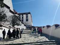 Wait… This Isn’t a Dream? Springtime at the Potala Palace Feels Unreal!