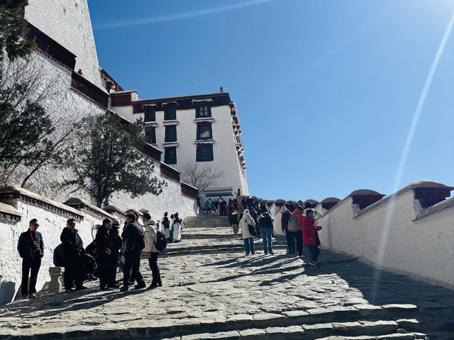 Wait… This Isn’t a Dream? Springtime at the Potala Palace Feels Unreal!