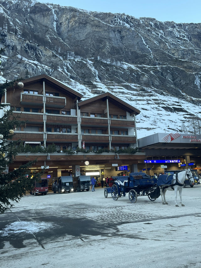 Switzerland Trip with family 