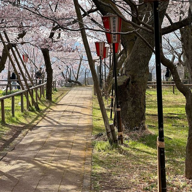 Takato Castle Ruins Park, Nagano