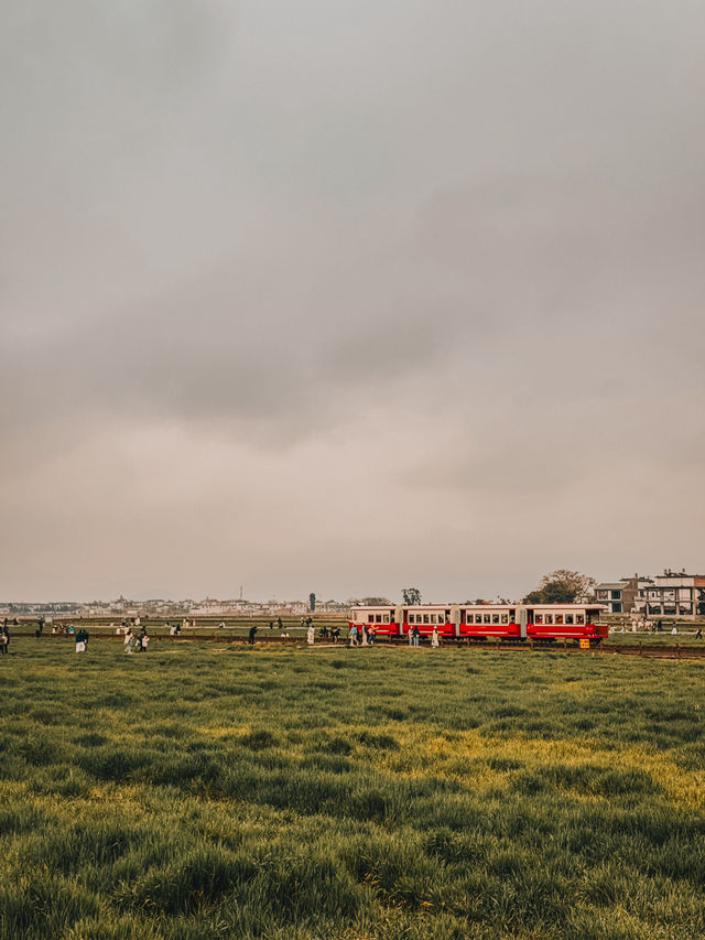 Hidden Gem of Dali: A Perfect Half-Day Escape to Xizhou Ancient Town (喜洲古镇)
