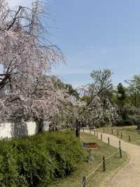 A Journey Through Innovation, History, and Beauty: Kansai and Beyond
