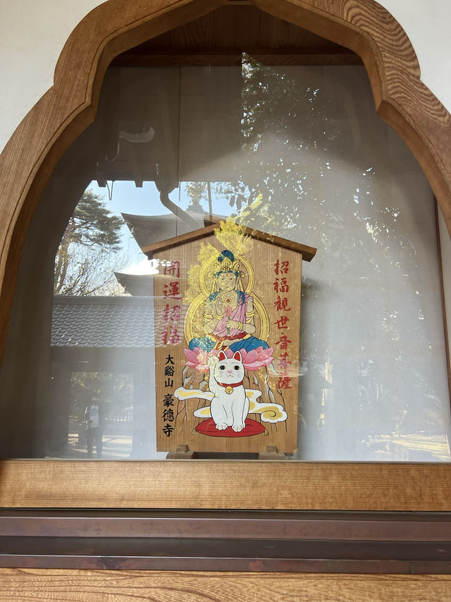 東京充滿招財貓的可愛神社—豪德寺