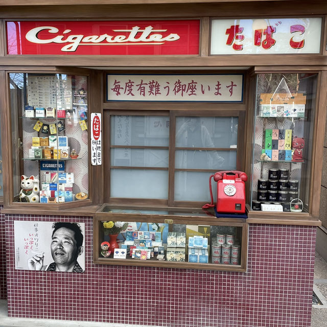 【所沢🇯🇵】レトロ可愛い！西武園ゆうえんち