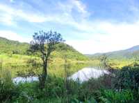 #雙連埤-宜蘭縣員山鄉